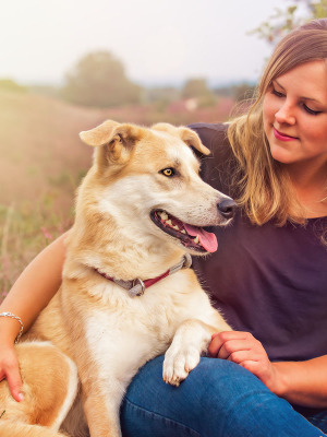 Hundefotografie Susannehelling Mischling