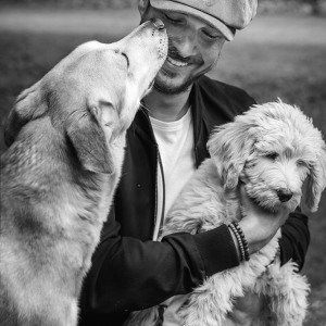 Hundefotografie Susannehelling Deutscher Bärenhund