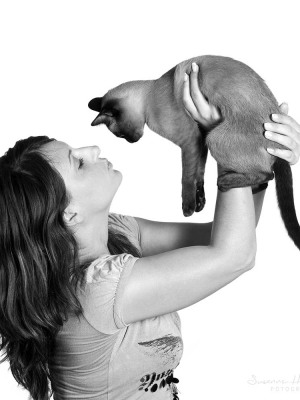 Katzenfotografie Susannehelling
